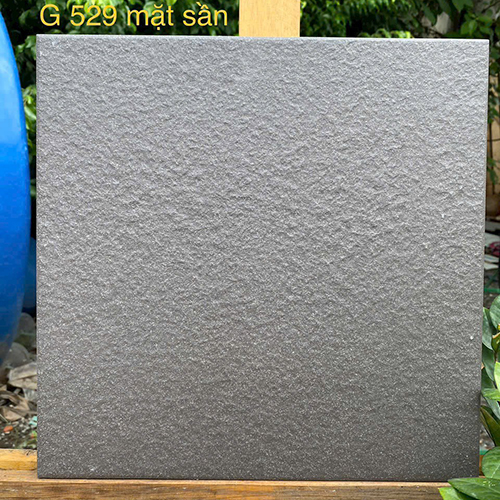 Gạch Taicera 30×30 đá đồng chất G529
