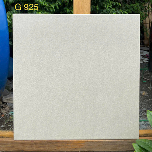 Gạch Taicera 30×30 đá đồng chất G925