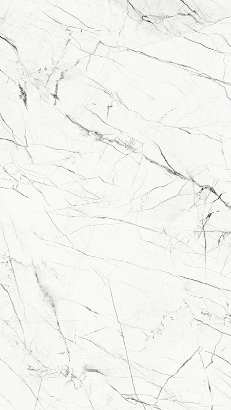 Gạch Taicera 60×120 đá bóng GP12905