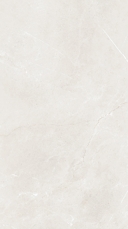 Gạch Taicera 60×120 mờ G12845
