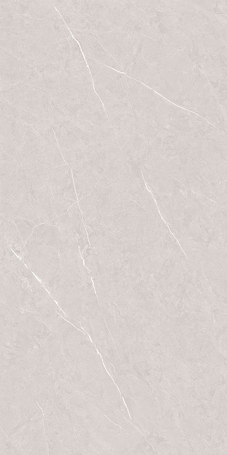 Gạch Takao 60×120 32103