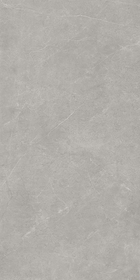 Gạch Takao 60×120 mờ 32112