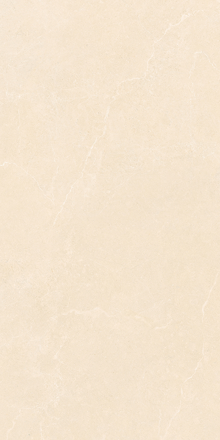 Gạch Takao 60×120 mờ 52111