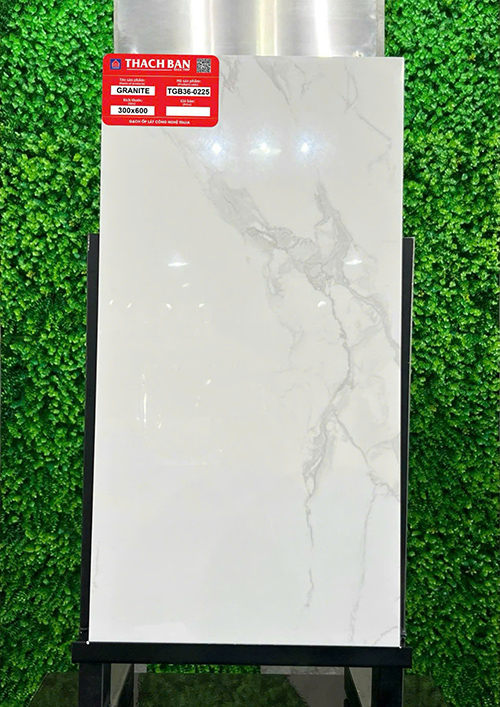 Gạch Thạch bàn 30×60 TGB36-0225