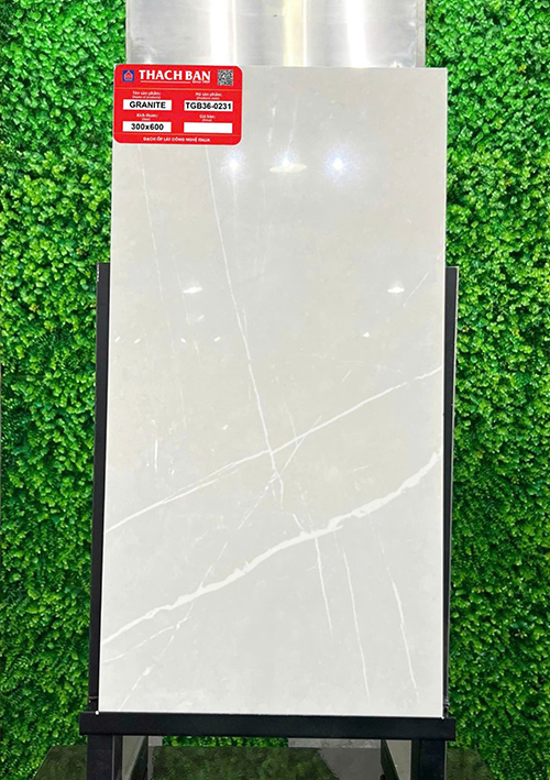 Gạch Thạch bàn 30×60 TGB36-0231
