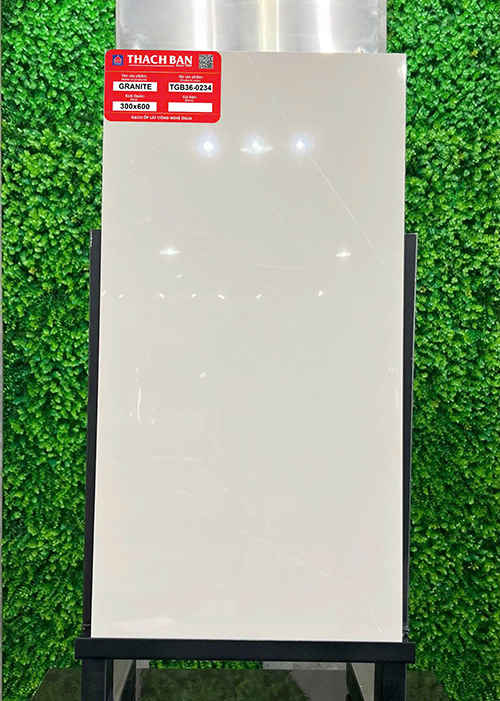 Gạch Thạch bàn 30×60 TGB36-0234