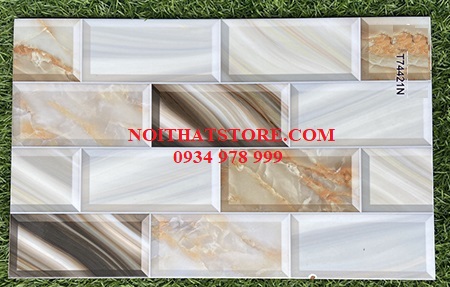 Gạch trang trí 25×40 T74421N