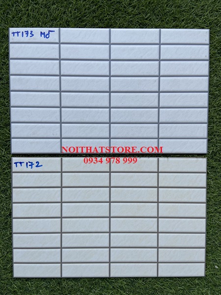 Gạch trang trí 25×40 TT172-173 mờ