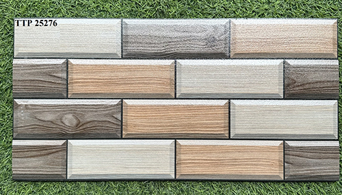 Gạch trang trí 25×50 giá rẻ men mờ TTP25276
