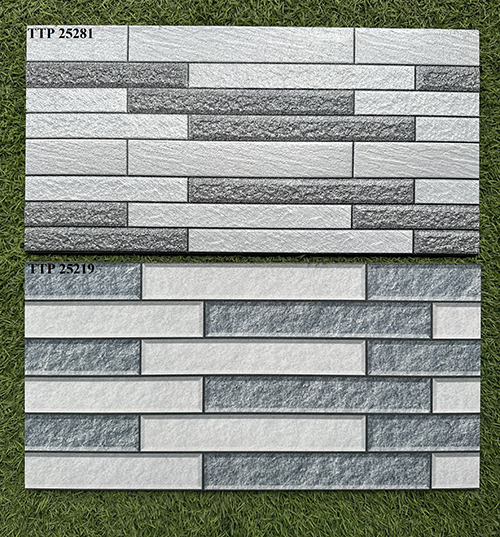 Gạch trang trí 25×50 giá rẻ men mờ TTP25281-25219