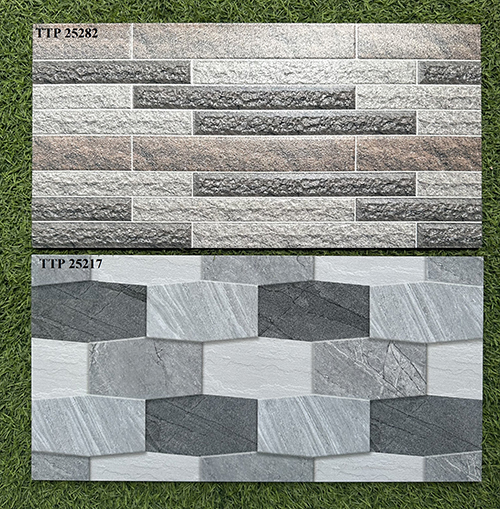 Gạch trang trí 25×50 giá rẻ men mờ TTP25282-25217