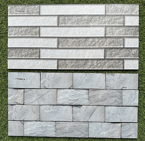 Gạch trang trí 25×50 giá rẻ men nhám TTP25214-25220