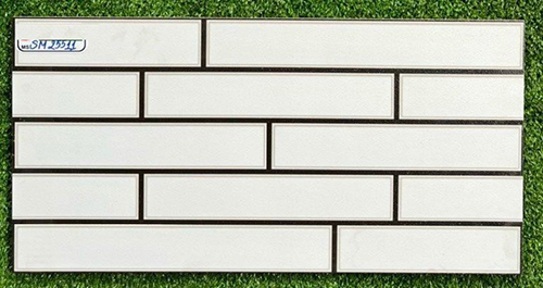 Gạch trang trí 25×50 giá rẻ SM25511