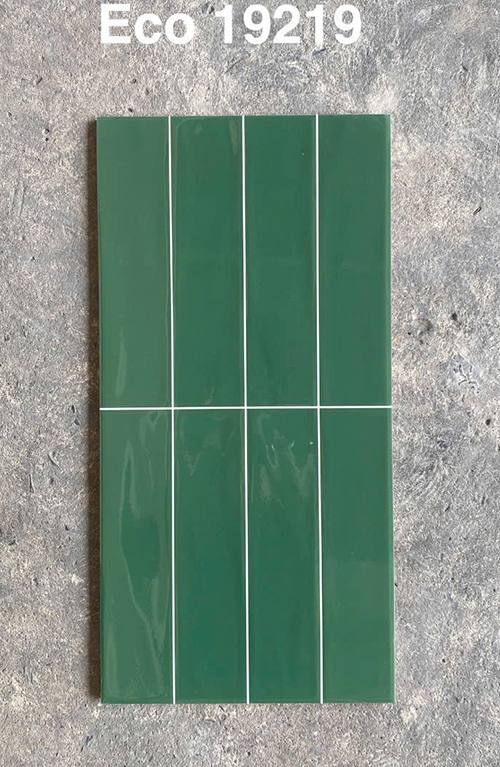 Gạch trang trí 30×60 bóng ECO 19219