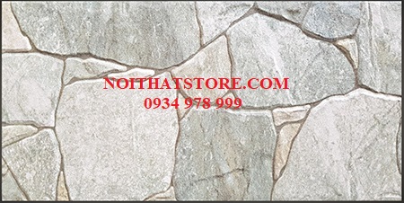 Gạch trang trí giá rẻ 20×40 20407