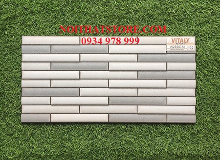 Gạch trang trí giá rẻ 25×50 W25501M