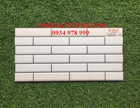 Gạch trang trí giá rẻ 25×50 W25502M