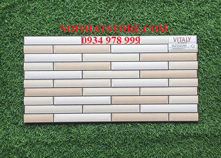 Gạch trang trí giá rẻ 25×50 W25503M