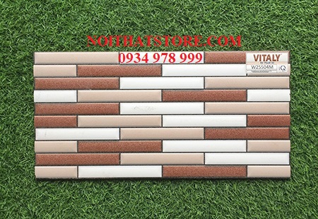 Gạch trang trí giá rẻ 25×50 W25504M