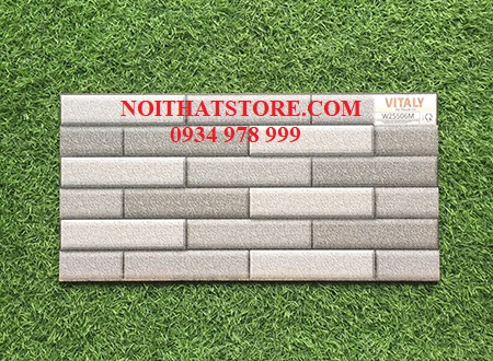 Gạch trang trí giá rẻ 25×50 W25506M