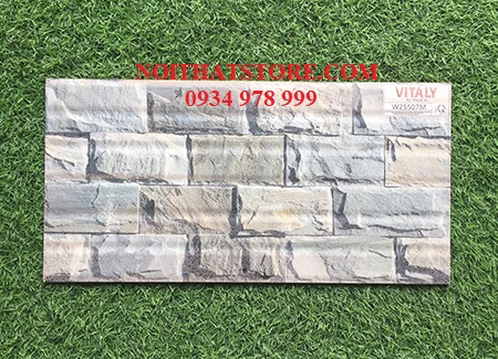 Gạch trang trí giá rẻ 25×50 W25507M