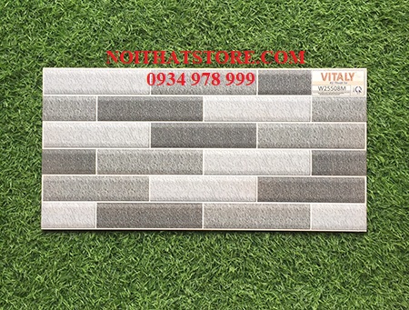 Gạch trang trí giá rẻ 25×50 W25508M