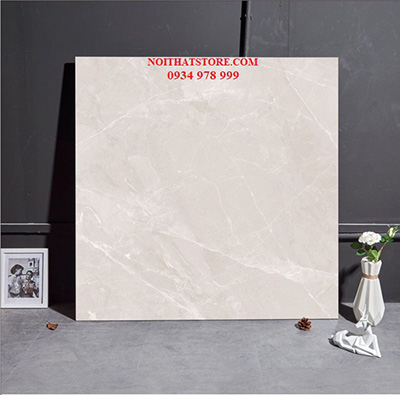 Gạch Trung Quốc 80×80 đồng chất 8553