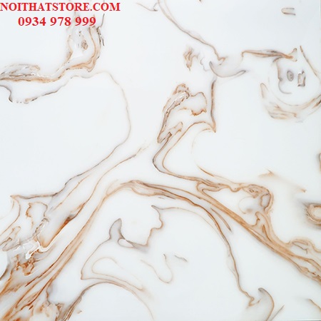 Gạch vi tinh ngọc thạch 100×100 HCT10109