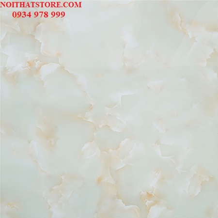 Gạch vi tinh ngọc thạch 100×100 HCT10111