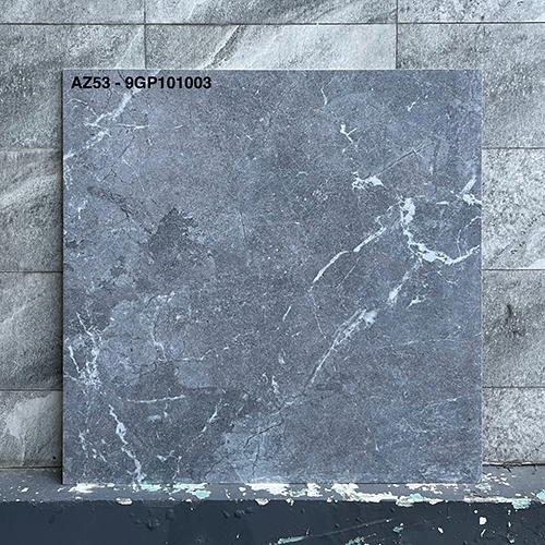 Gạch Viglacera 100×100 AZ53-9GP101003