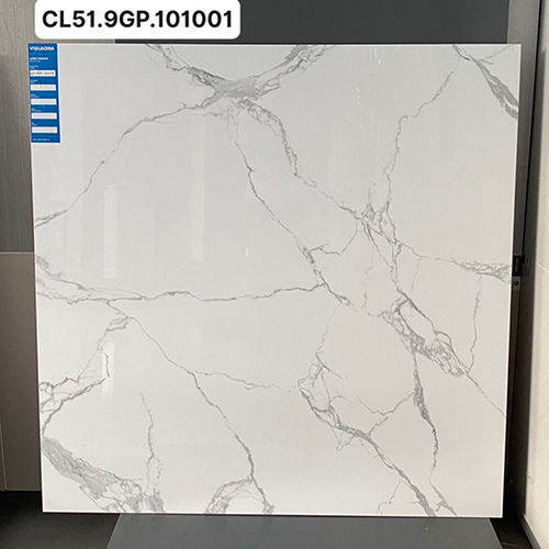 Gạch Viglacera 100×100 CL51-9GP101001