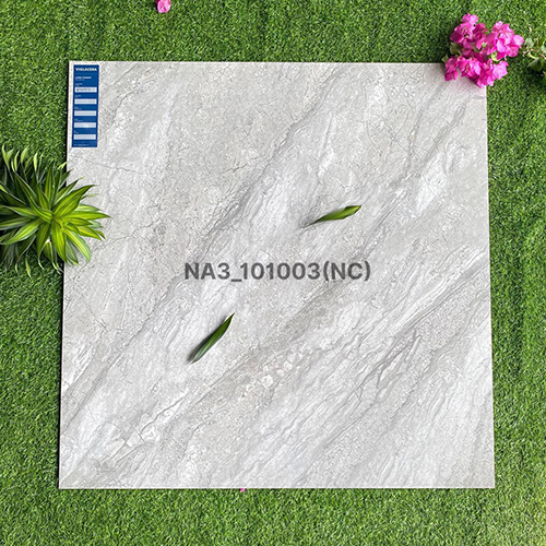 Gạch Viglacera 100×100 NA3-101003