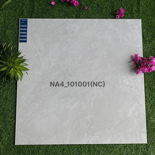 Gạch Viglacera 100×100 NA4-101001