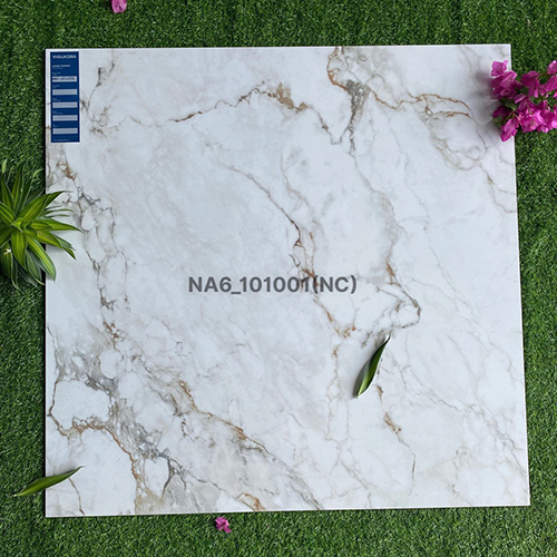 Gạch Viglacera 100×100 NA6-101001