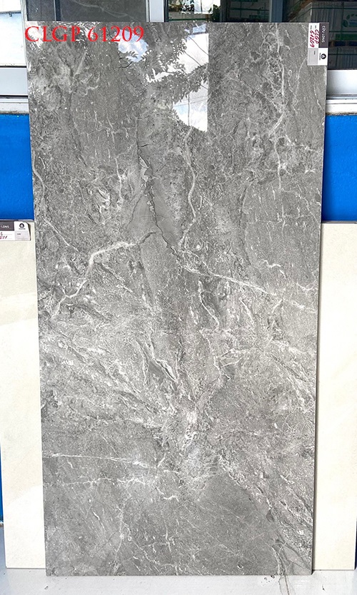 Gạch Viglacera 60×120 CLGP61209
