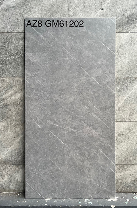 Gạch Viglacera 60×120 mờ AZ8-GM61202