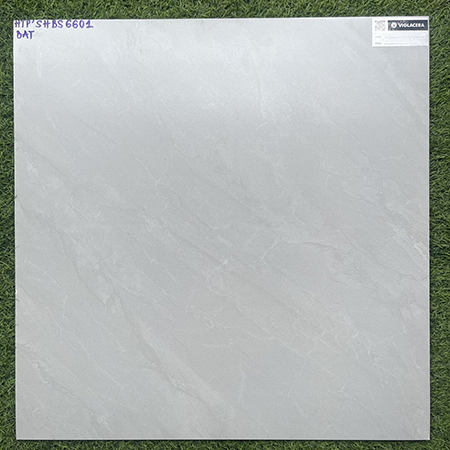 Gạch Viglacera 60×60 bán sứ mờ SHBS6601