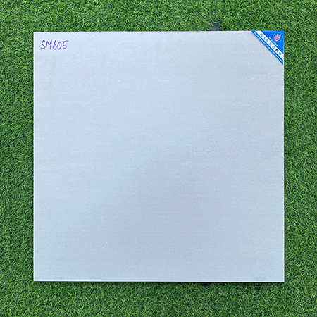 Gạch Viglacera 60×60 mờ SM605