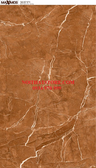 Gạch Vitto 60×120 3637 bóng