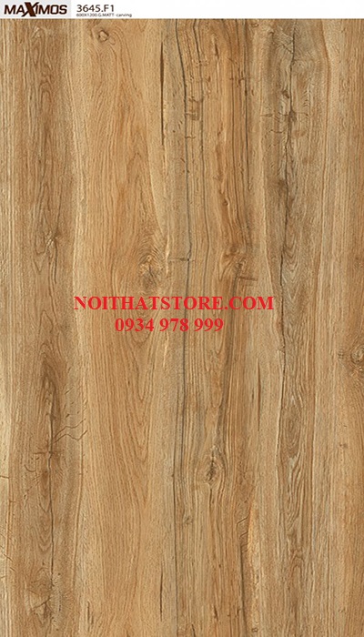 Gạch Vitto 60×120 3645 matt