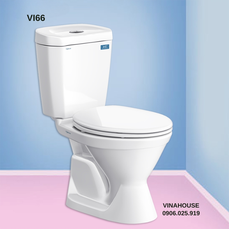 Bồn cầu 2 khối Viglacera VI66