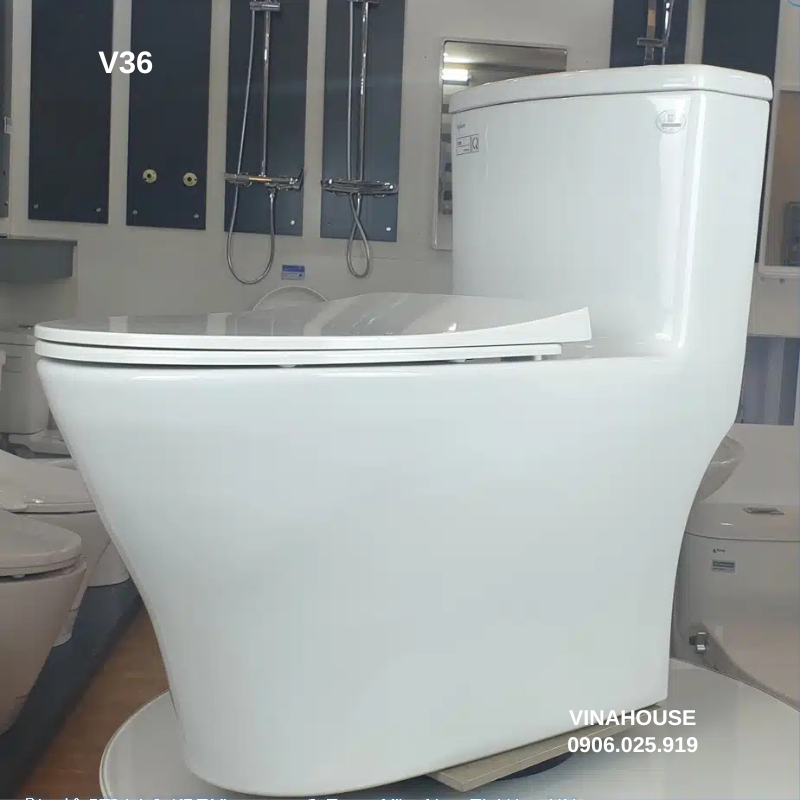 Bồn cầu thông minh Viglacera V36