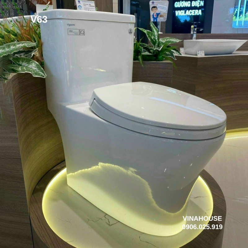 Bồn cầu thông minh Viglacera V63