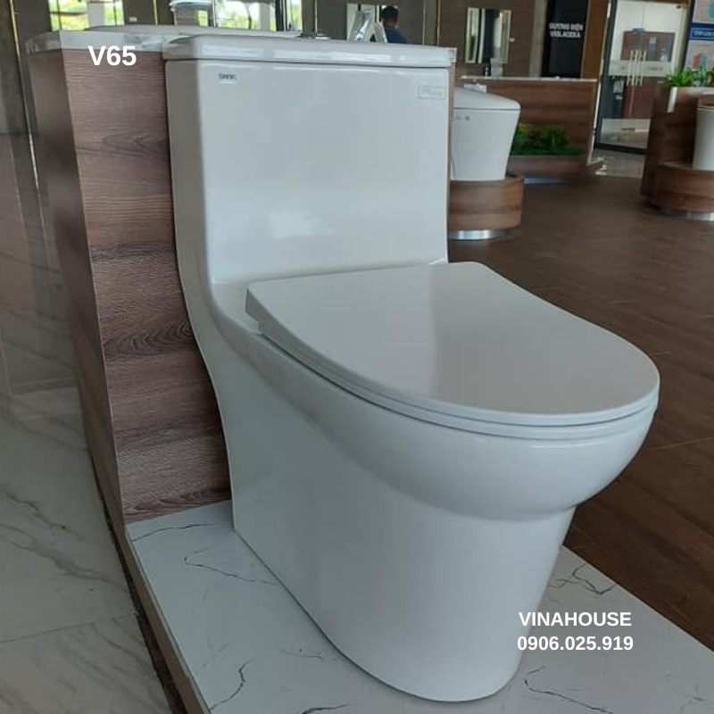 Bồn cầu thông minh Viglacera V65