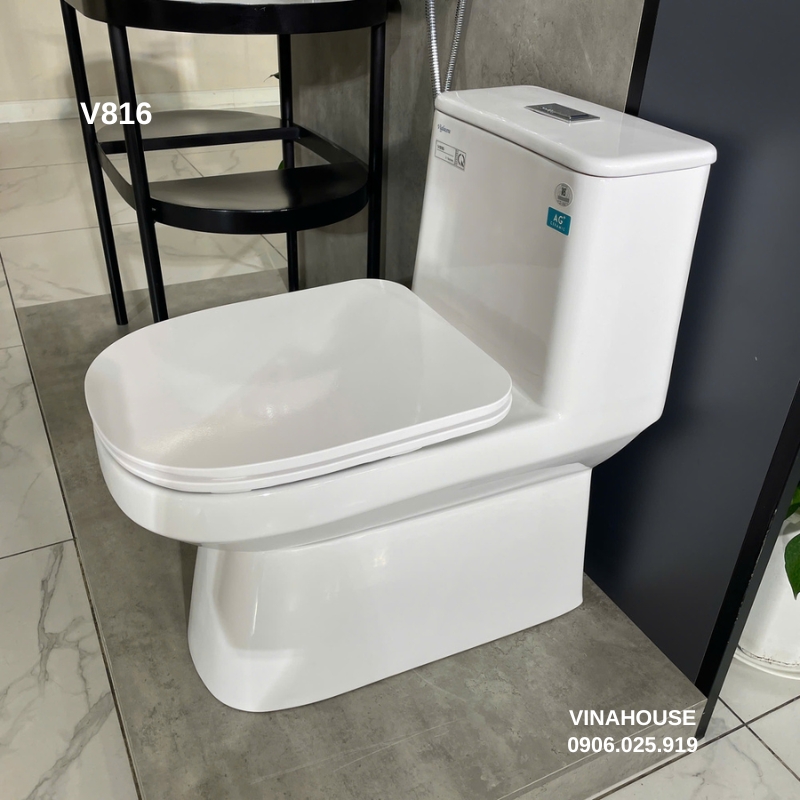 Bồn cầu thông minh Viglacera V816