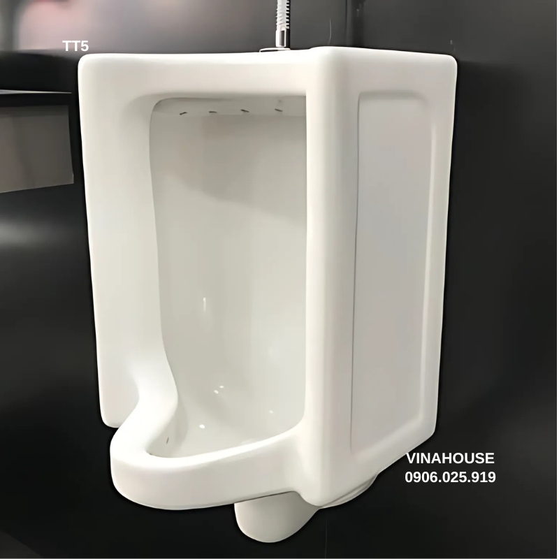 Bồn tiểu nam treo tường Viglacera TT5