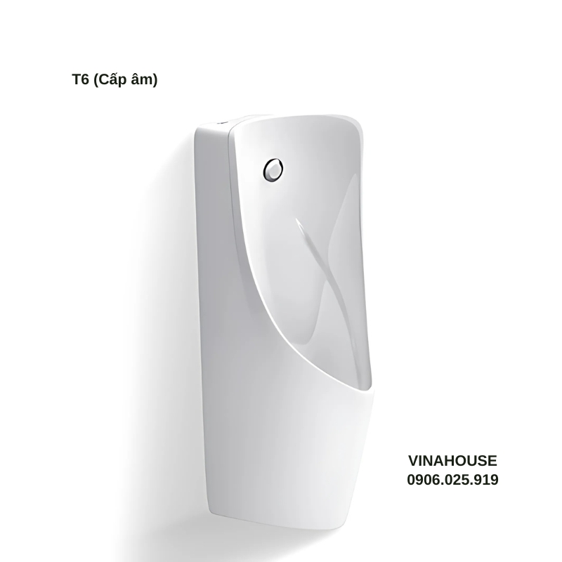 Bồn tiểu nam treo tường cấp âm Viglacera T6