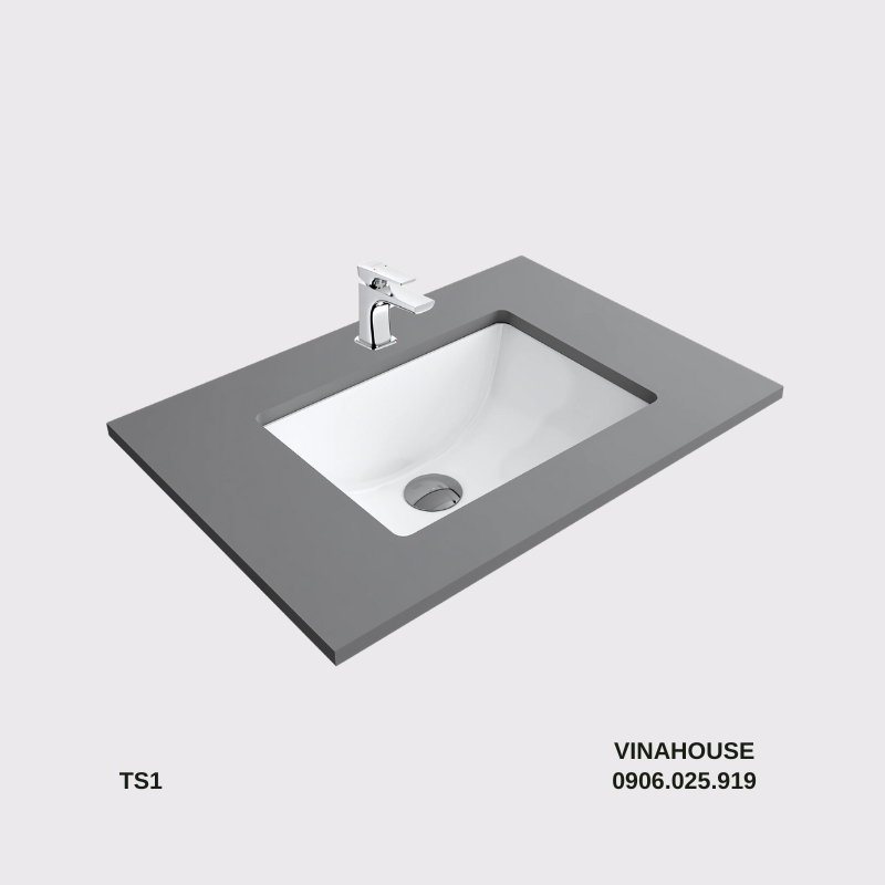 Chậu lavabo âm bàn Viglacera TS1