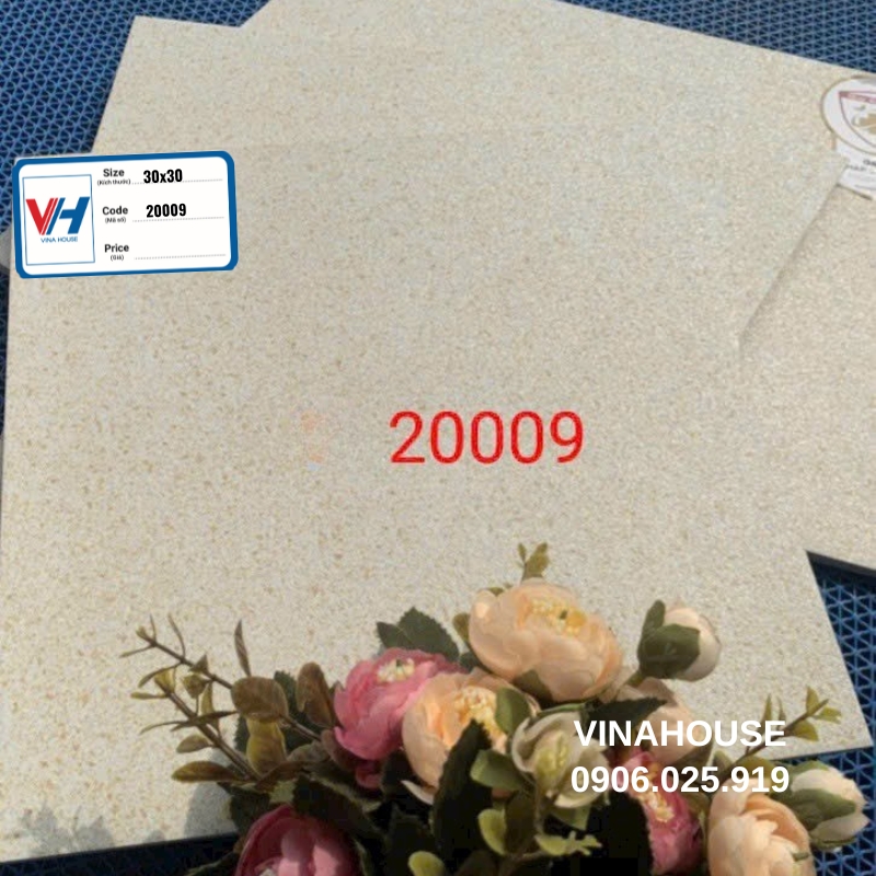 Gạch 30×30 giá rẻ 20009