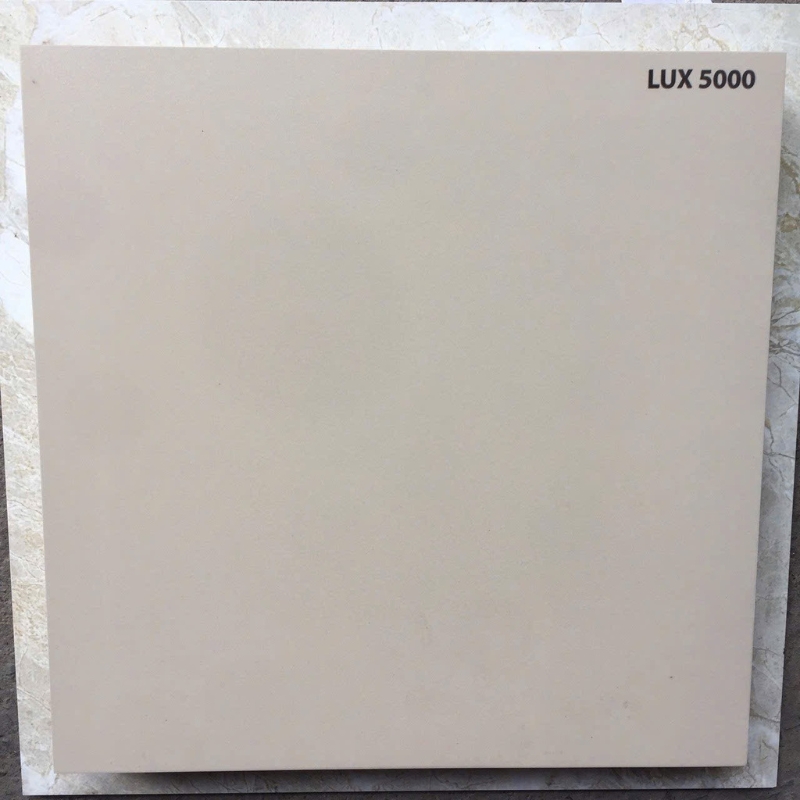 Gạch 40×40 lát sân vườn LUX5000